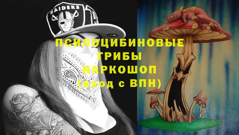 Псилоцибиновые грибы Psilocybe  закладки  Бахчисарай 